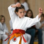 kta_009 kta_009